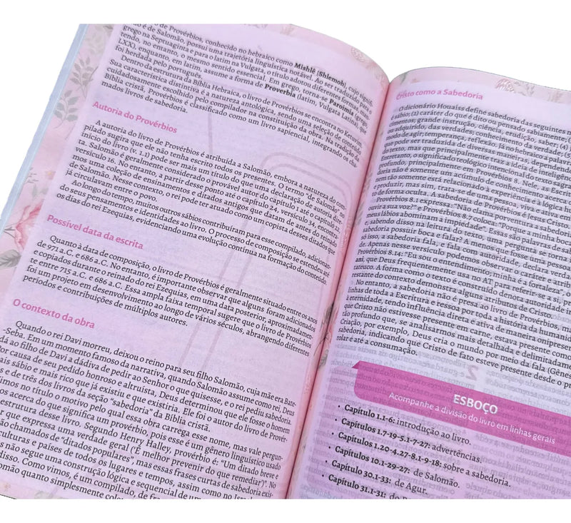 Biblia Da Pregadora Fiel Preta