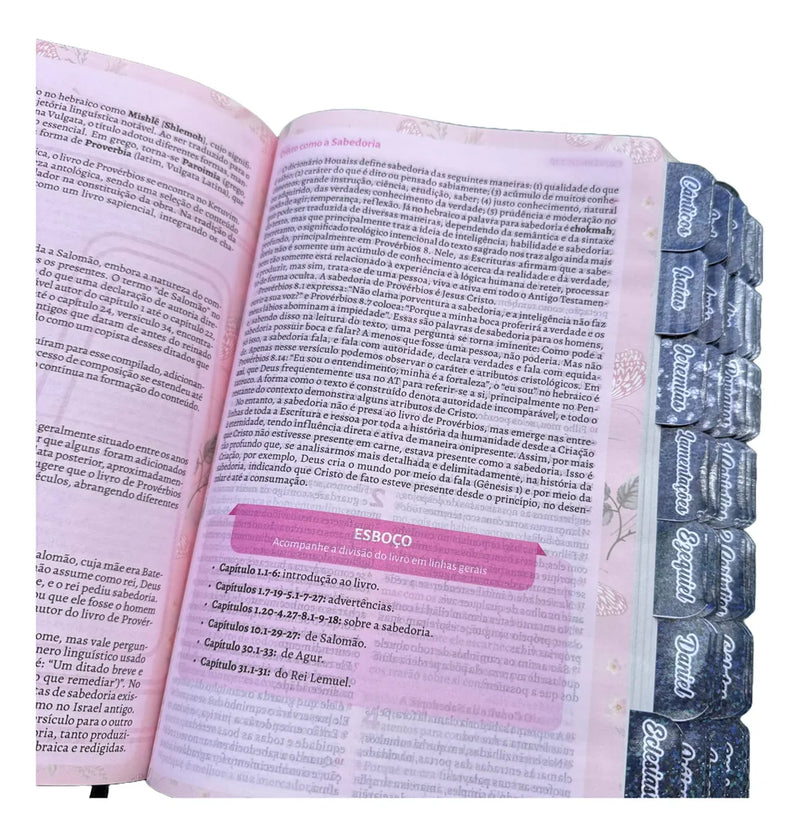 Biblia Da Pregadora Fiel Preta