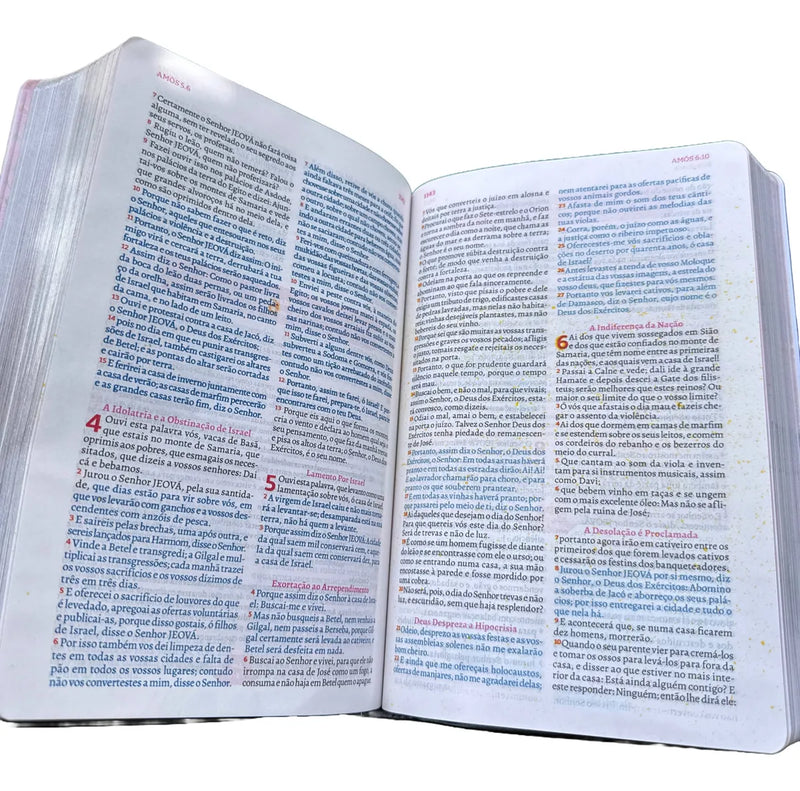 Biblia Da Pregadora Fiel Preta