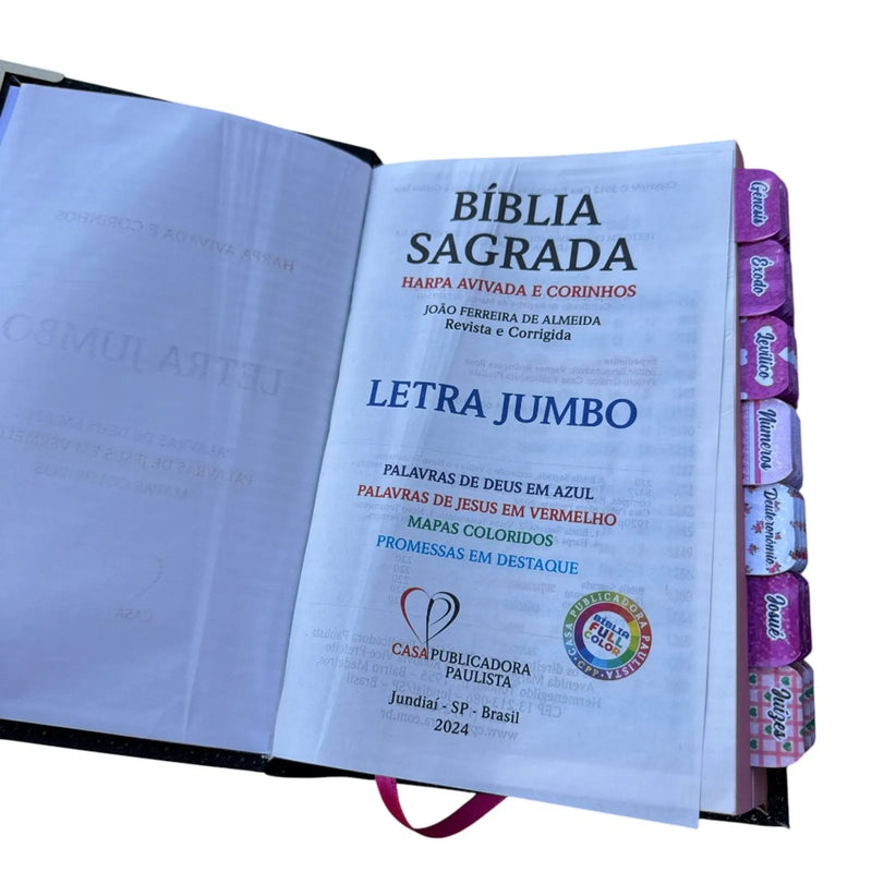 Bíblia  Filha do Rei Com Abas
